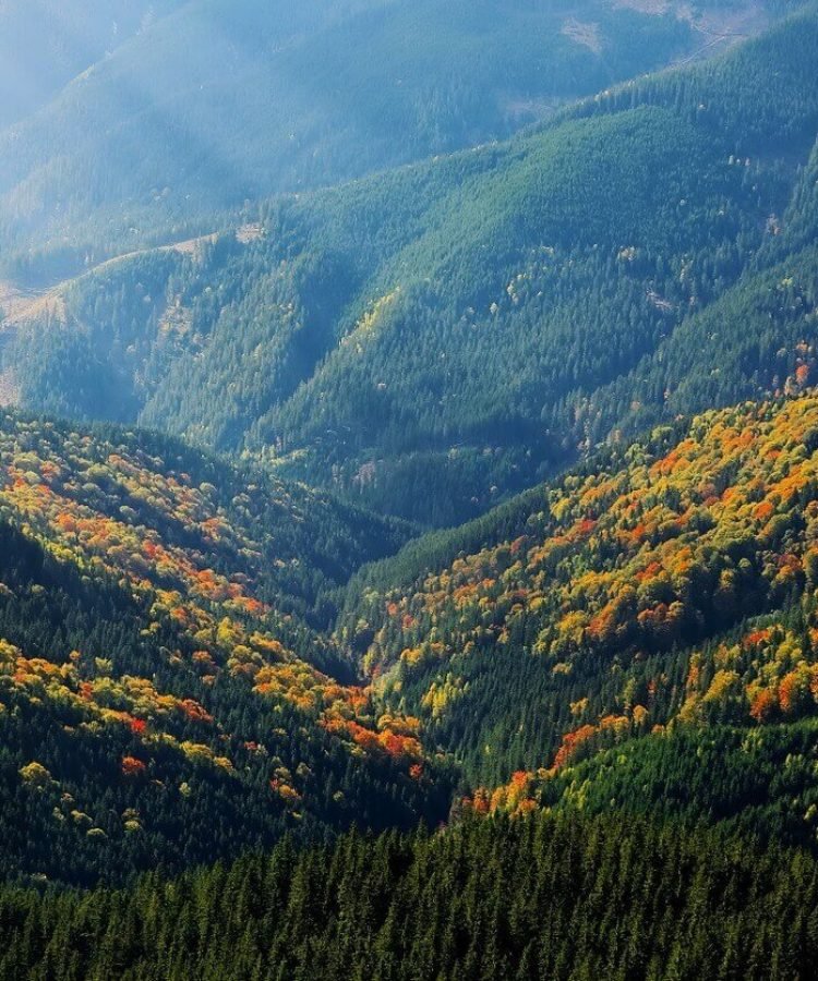 18 Easy Steps for Planning Your Next Trip Perfectly