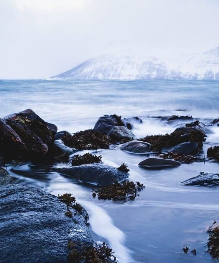 What Does a Travel Guide Do? How to Become a Travel Guide